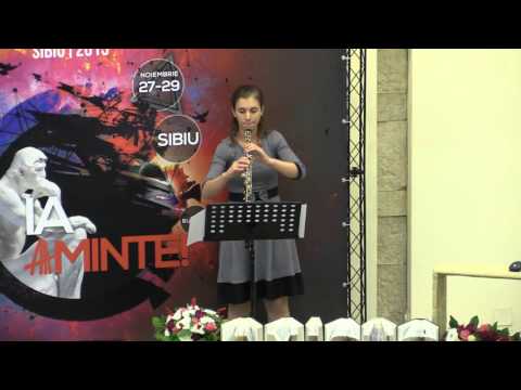 Festivalul Amicus Sibiu 2015 - Moment muzical