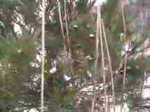 Merry Pappy 02-04-2007#2