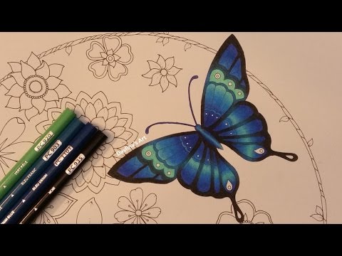 How I : Color a 🦋butterfly🦋 | MAGICAL JUNGLE Adult Coloring Book by Johanna Basford