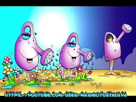 Lc. 19, 11-28 Lectura Infantil de Hoy 16 de noviembre de 2022.