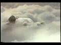 Falcor