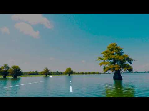 "Blackbirds" music video, Rob Jungklas.