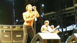 IGGY POP THE STOOGES ROUEN 13 JUILLET 2008 &quot;My Idea Of Fun&quot; &quot;Search &amp; Destroy&quot;