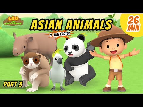 Witness21 Editor  2020 11 12