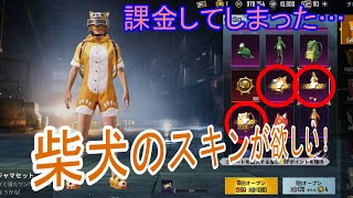 【PUBGモバイル】【ガチャ動画】柴犬のスキンほしい！