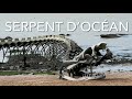 Serpent D’Océan Sculpture (4K)