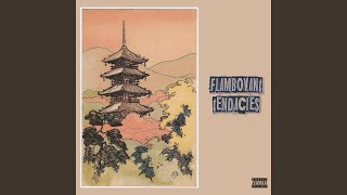 FLAMBOYANT TENDENCiES Music Video
