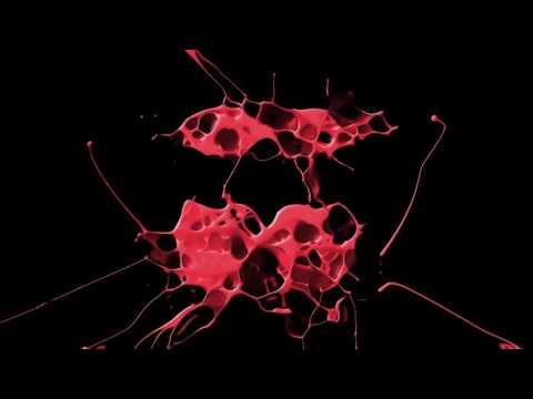 Tuccillo - Eclipse (The House Moguls Remix)