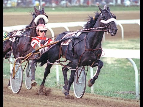 Driver Mike Lachance enjoys retirement -- Hoof Beats