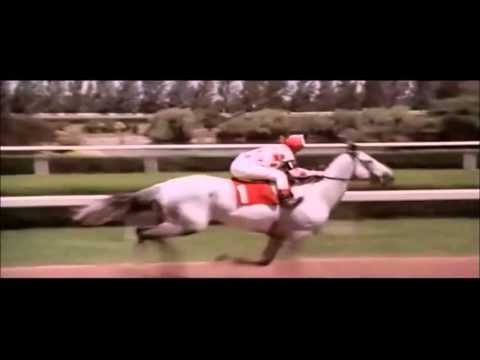 Experience Horse Racing in Korea