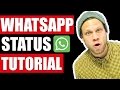 WhatsApp Status Tutorial WhatsApp Status Tutorial