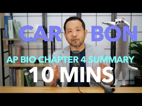 AP Biology: CARBON in 10 MINUTES. Review of Chapter 4 with Mikey!