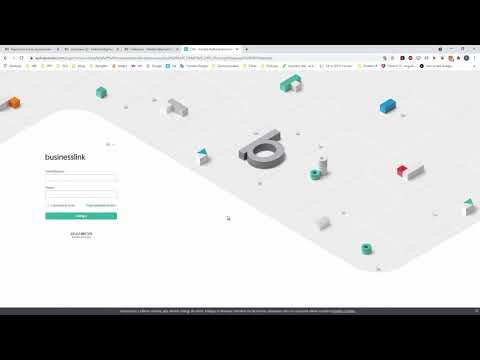 Businesslink: uruchomienie, konfiguracja, szybki start