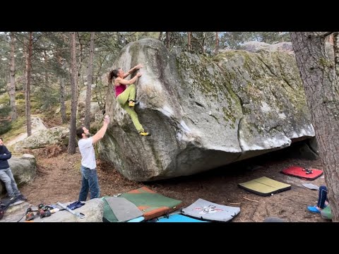 Pensées Cachées (Fb 7b) - Cuisinière - Fontainebleau
