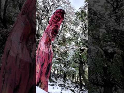 Rio Turbio Santa Cruz, Patagonia