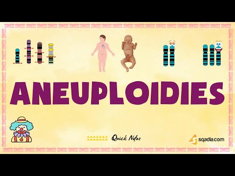 Aneuploidies | Introduction | Basic Genetics Concepts