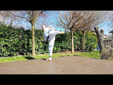 4  Hyong nach vorne/in Anwendung; relevant für die Prüfung auf den 7. Kup