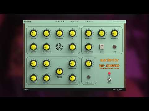 Audiority Big Swarma - Live Demo