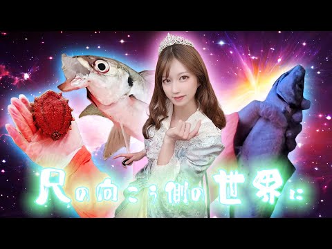 【疲れ果て何もできなくなっている方に】貴方のプリンセスが今から海で大物狙うので、一緒にロイヤルエントリーしてください✧ *･ﾟ.　#カゴ釣り【096杯目】#アジ