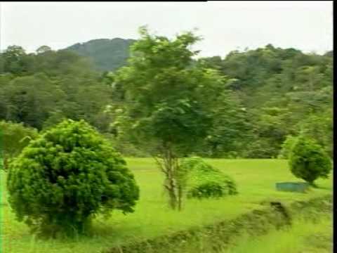 Zalmon-Pitanah Babuah Sarak