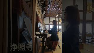 Download lagu 奈良県田原本の浄照寺さんの寺ピアノでパッヘルベル【カノン】を弾いてみた♪　#ピアノ　 mp3