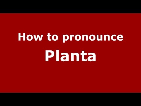 How to pronounce Planta (Spanish/Argentina) - PronounceNames.com
