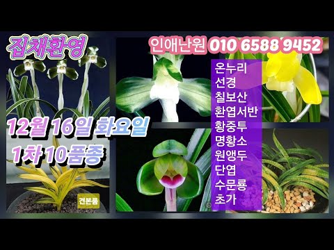 유튜브 썸네일