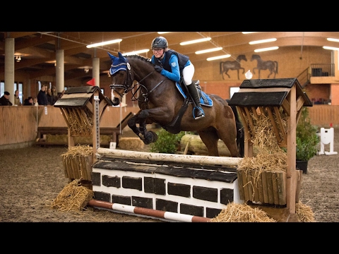 SIEG im Stil-Gelände E mit 8,2 in Nortrup || Occy the Rocky