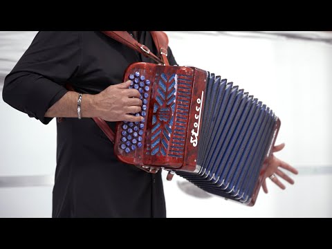 FISARMONICA | "DIETRO UN SORRISO" (Valzer) Massimo Budriesi @Musicainballo