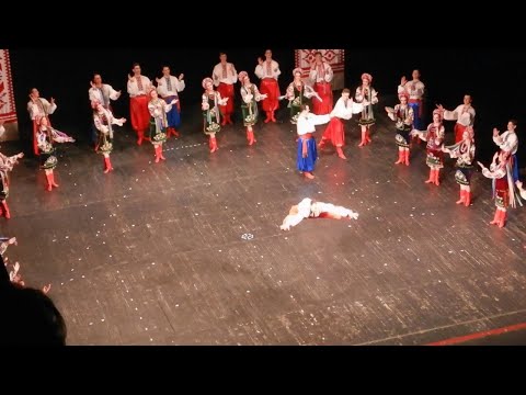 Національний заслужений академічний ансамбль танцю України імені Павла Вірського