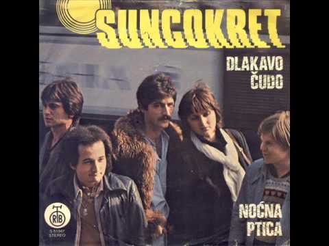 Suncokret - Nocna ptica