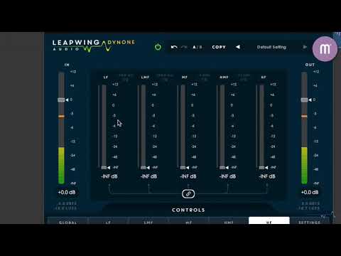 LEAPWING AUDIO - DYNONE