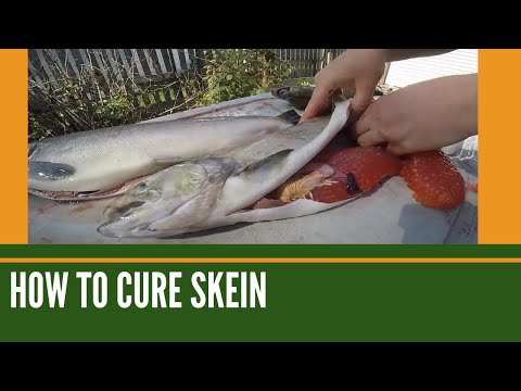 Фото How To Cure Skeins / Pro Cure Egg Cure / How To Use Eggs As Bait / Skein Curing Tips