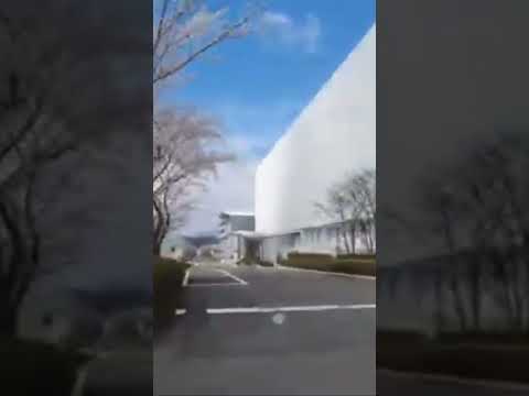 作業療法学科 医療創生大学　お花見・キャンパスツアー！2023