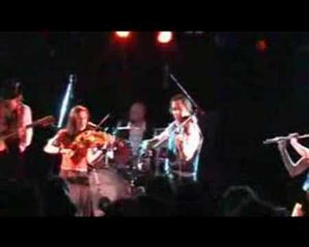 Counterfeit Gypsies - Olahos/Varsharver - Live 2007