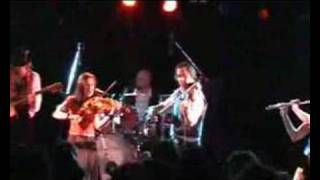 Counterfeit Gypsies - Olahos/Varsharver - Live 2007