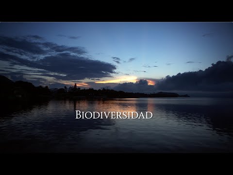 México Megadiverso