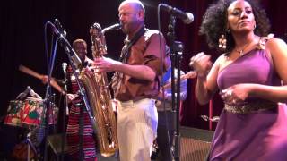 Krar Collective and Akale Wube perform Addis Ababa Bete by Alemayu Eshete