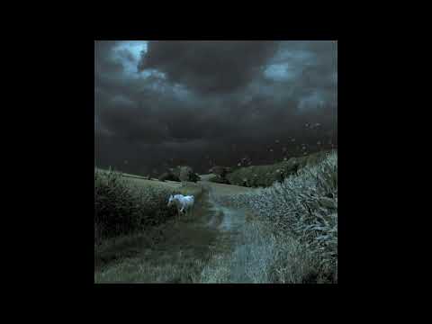 [free for profit] xaviersobased + emotional jerk + sample type beat - "dolina"