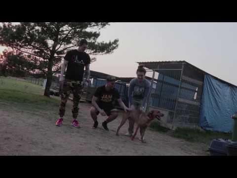 Heruś - My Psijaciele - zapowiedź utworu :)