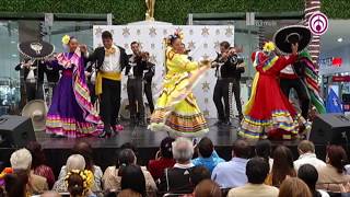 Mariachi Vargas De Tecalitlán - El Jarabe Tapatío | En MÉXICO CANTA... Y ENCANTA