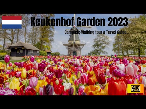 Keukenhof Garden 2023 🌷| Tulip Garden Netherlands 🇳🇱 | Complete Walking Tour| Flower shows | 4K