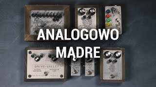 Video thumbnail for 🎸Analogwise Pedals - polskie, ekologiczne efekty gitarowe by Bartosz Bazok Zelek