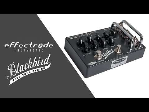 Effectrode BlackBird Tube Preamp Overdrive Pedal image 3
