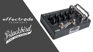 Video thumbnail for Effectrode BlackBird Preamp | 1-Minute Demo by Electric Mojo Guitars