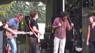 The New Pornographers - Sonic Boom 2014 (part 1)