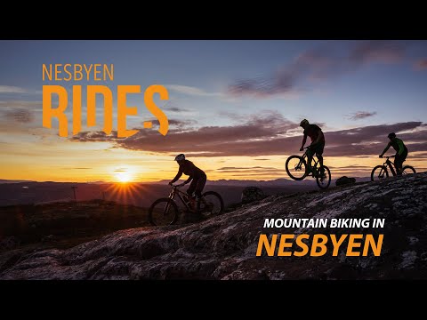 MTB Mountain biking in Nesbyen, Norway