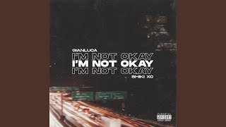 I'm Not Okay Music Video