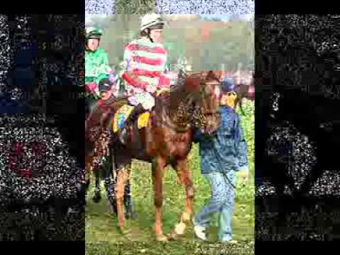 118  Velka Pardubicka 2008