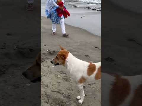 Chilling in the beach 😎